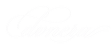 Dvnera - Home